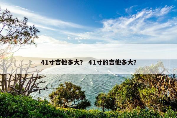 41寸吉他多大？ 41寸的吉他多大？