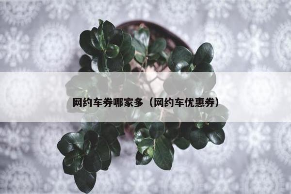 网约车券哪家多(网约车优惠券) 网约车券哪家多(网约车优惠券)