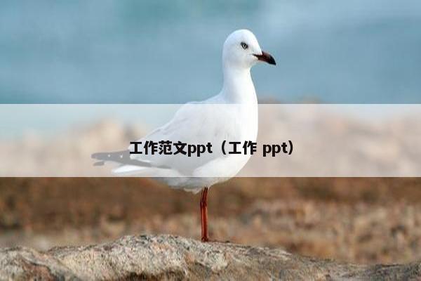 工作范文ppt(工作 ppt) 工作范文ppt(工作 ppt)