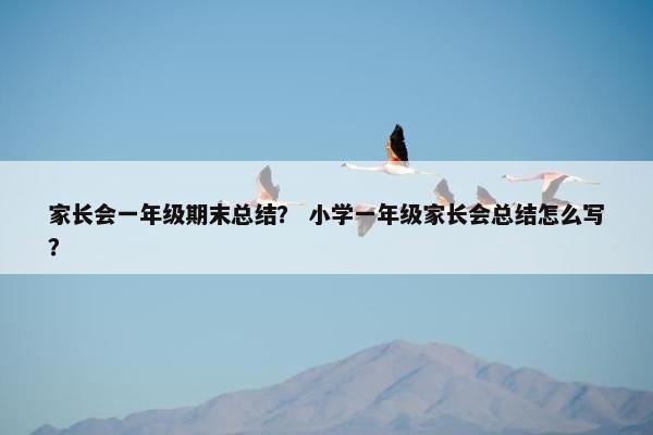 家长会一年级期末总结? 小学一年级家长会总结怎么写? 家长会一年级期末总结? 小学一年级家长会总结怎么写?