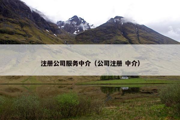 注册公司服务中介(公司注册 中介) 注册公司服务中介(公司注册 中介)