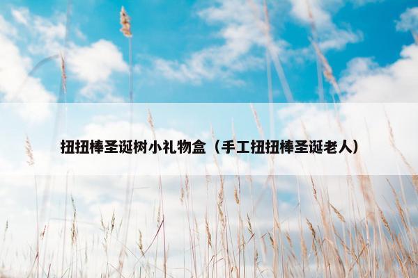 扭扭棒圣诞树小礼物盒（手工扭扭棒圣诞老人）