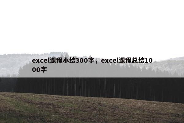 excel课程小结300字，excel课程总结1000字