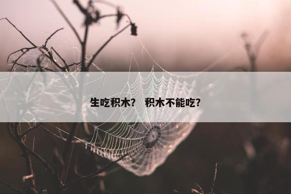 生吃积木？ 积木不能吃？