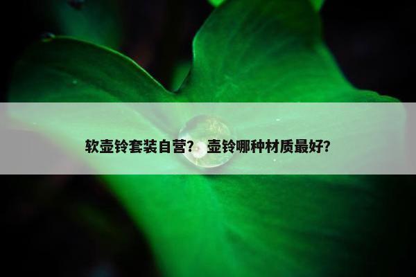 软壶铃套装自营? 壶铃哪种材质最好? 软壶铃套装自营? 壶铃哪种材质最好?