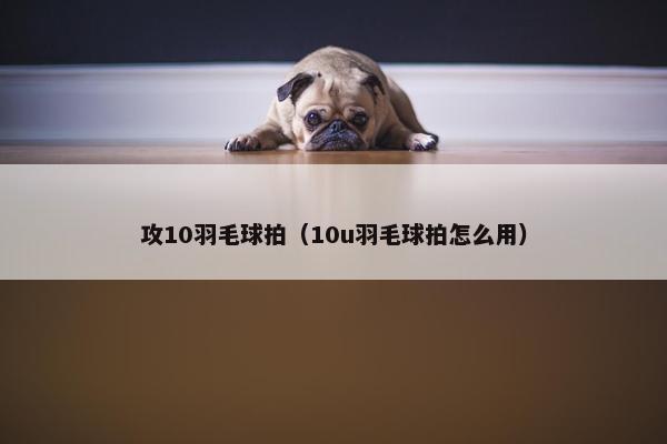 攻10羽毛球拍(10u羽毛球拍怎么用) 攻10羽毛球拍(10u羽毛球拍怎么用)