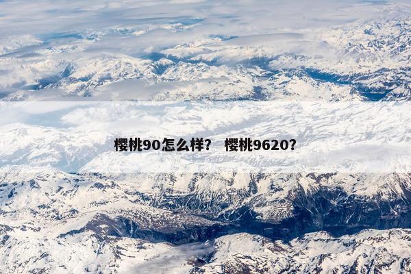 樱桃90怎么样? 樱桃9620? 樱桃90怎么样? 樱桃9620?