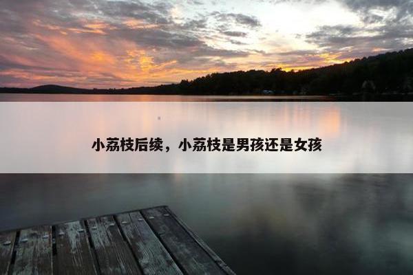 小荔枝后续，小荔枝是男孩还是女孩