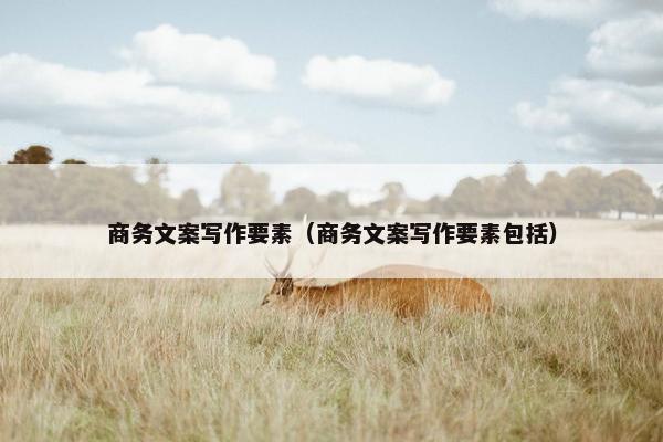 商务文案写作要素（商务文案写作要素包括）