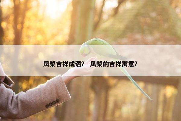 凤梨吉祥成语? 凤梨的吉祥寓意? 凤梨吉祥成语? 凤梨的吉祥寓意?