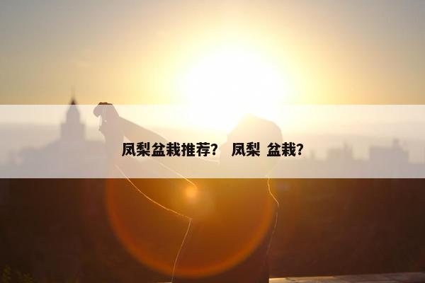 凤梨盆栽推荐？ 凤梨 盆栽？