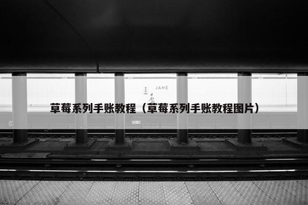 草莓系列手账教程（草莓系列手账教程图片）