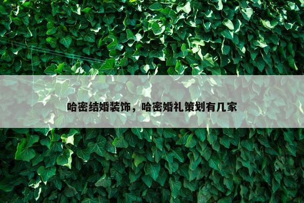 哈密结婚装饰，哈密婚礼策划有几家