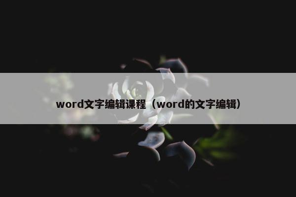 word文字编辑课程（word的文字编辑）