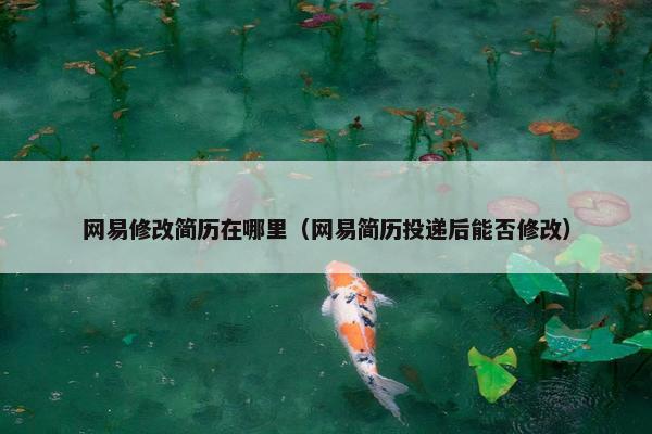 网易修改简历在哪里（网易简历投递后能否修改）