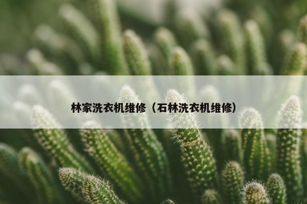 林家洗衣机维修（石林洗衣机维修）