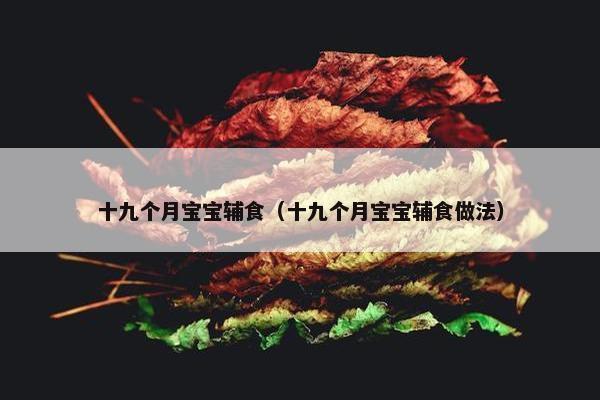 十九个月宝宝辅食（十九个月宝宝辅食做法）