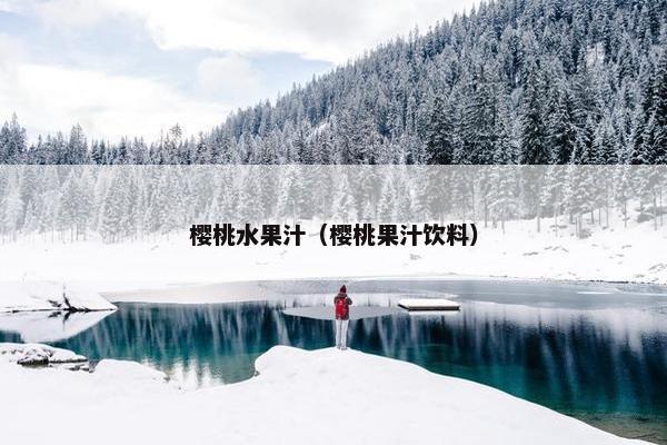 樱桃水果汁(樱桃果汁饮料) 樱桃水果汁(樱桃果汁饮料)