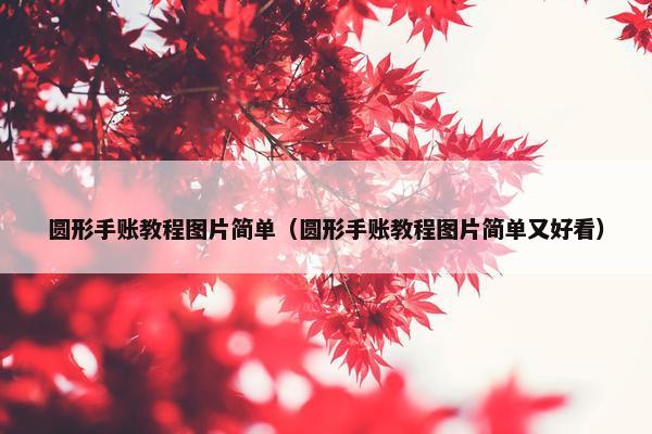 圆形手账教程图片简单（圆形手账教程图片简单又好看）