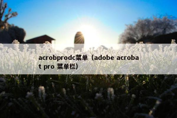 acrobprodc菜单（adobe acrobat pro 菜单栏）