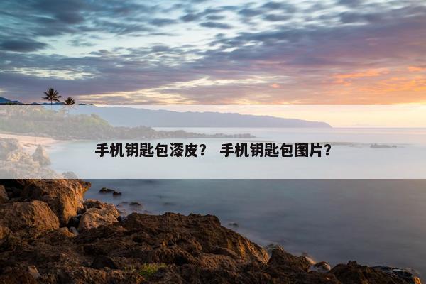 手机钥匙包漆皮？ 手机钥匙包图片？