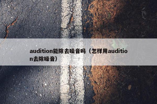 audition能除去噪音吗（怎样用audition去除噪音）