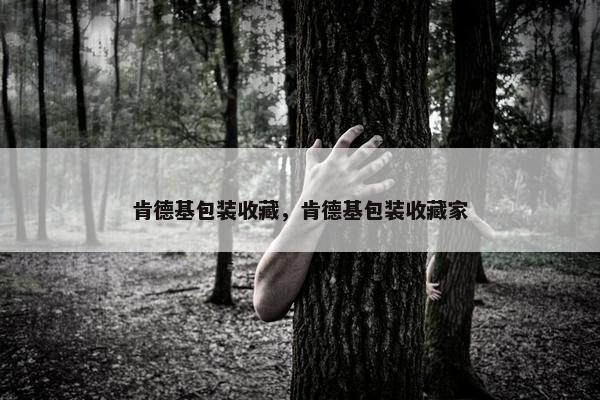 肯德基包装收藏，肯德基包装收藏家