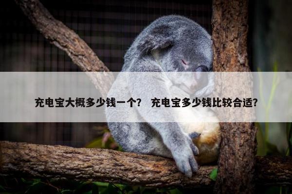 充电宝大概多少钱一个? 充电宝多少钱比较合适? 充电宝大概多少钱一个? 充电宝多少钱比较合适?