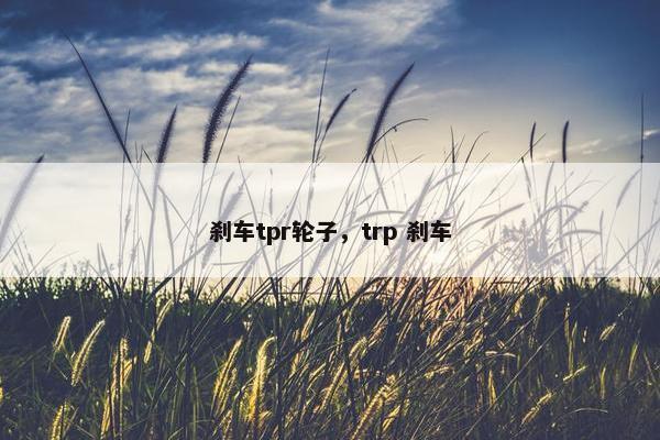 刹车tpr轮子，trp 刹车