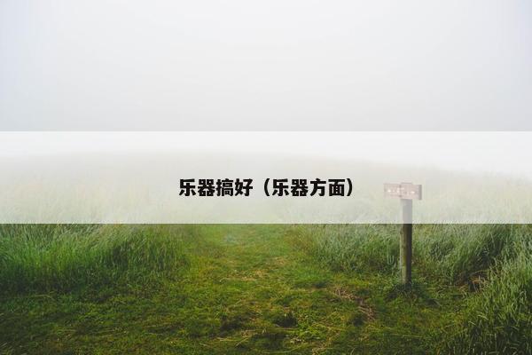 乐器搞好(乐器方面) 乐器搞好(乐器方面)