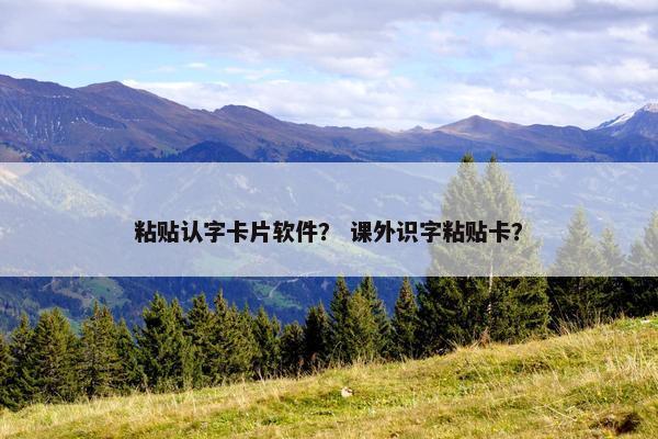 粘贴认字卡片软件? 课外识字粘贴卡? 粘贴认字卡片软件? 课外识字粘贴卡?