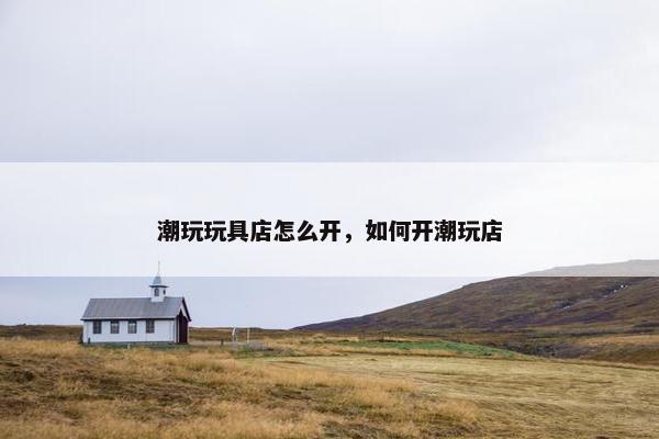 潮玩玩具店怎么开,如何开潮玩店 潮玩玩具店怎么开,如何开潮玩店