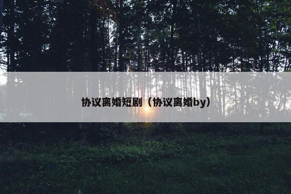 协议离婚短剧（协议离婚by）