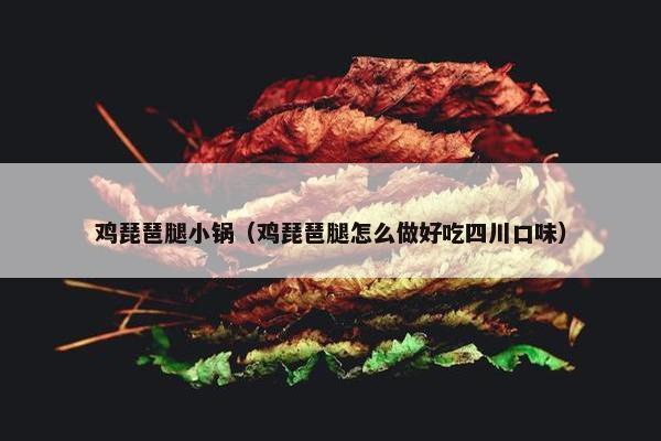 鸡琵琶腿小锅（鸡琵琶腿怎么做好吃四川口味）