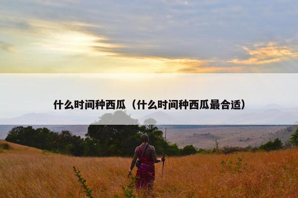 什么时间种西瓜（什么时间种西瓜最合适）