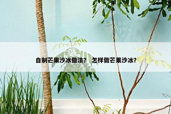 自制芒果沙冰做法？ 怎样做芒果沙冰？